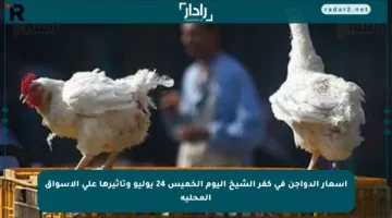 أسعار الدواجن في كفر الشيخ اليوم الخميس 24 يوليو وتأثيرها على الأسواق المحلية